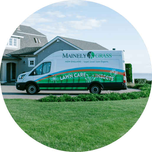 professional-lawn-care-mainely-grass-new-england-circle-001